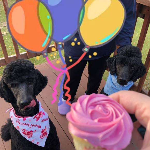 Meet your Posher, Summer - Picture 3 of 3